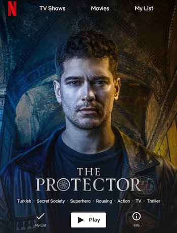 The Protector SO2 Complete Hindi Dub full movie download